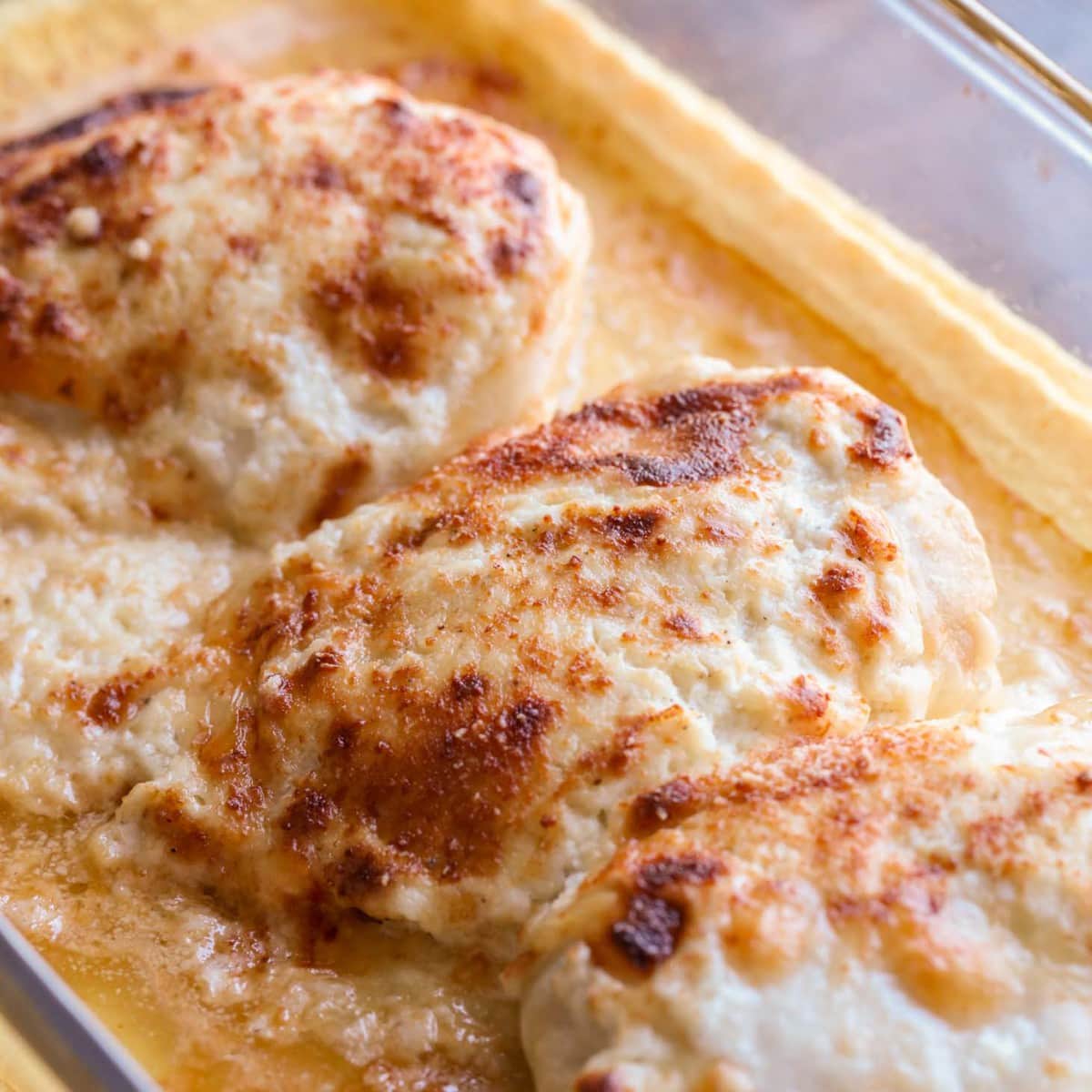 Delicious Creamy Swiss Chicken Bake - a simple and delicious dinner recipe that includes Swiss and Parmesan cheeses and baked to perfection. Swiss Chicken Bake in Dish